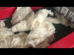 Модель 800F, отверстие экрана 6 мм, хлопкорезка, дробилка для резки